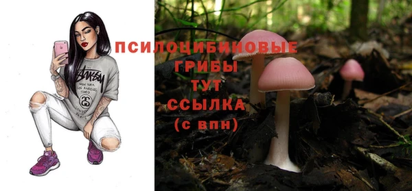 прущие грибы Алзамай
