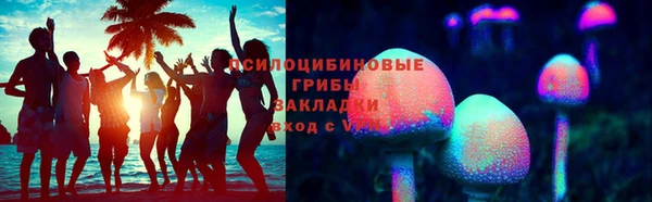 прущие грибы Алзамай