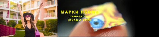 прущие грибы Алзамай