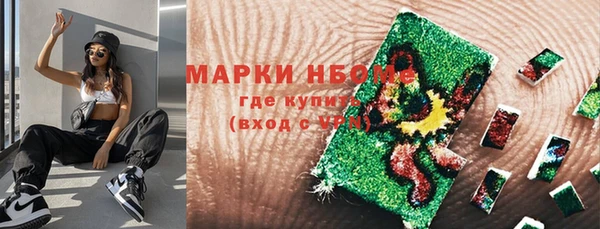 прущие грибы Алзамай